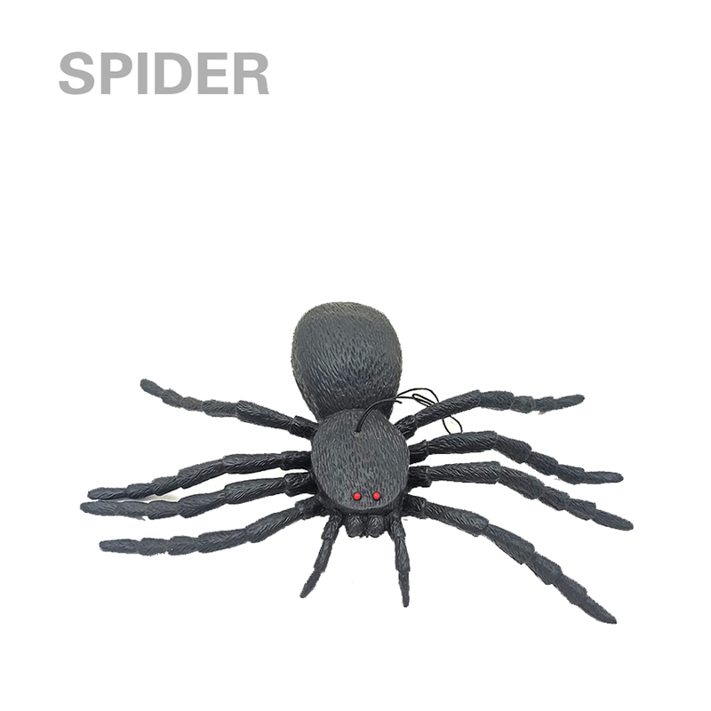 Halloween Streiche Gruselige Spinne